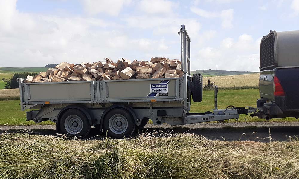 Air dried loose logs